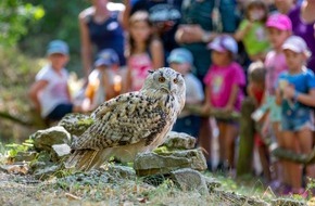 Tourist-Information Bad Mergentheim: Greifvögel im Wildpark Bad Mergentheim erhalten neues Zuhause - Betreiber zimmern Vogelanlage aus aussortiertem Material