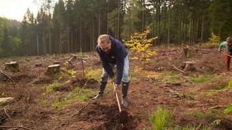 SAT.1: "Jeder kann einen Beitrag leisten, ob im Kleinen oder im Großen!" Steven Gätjen in "Operation Wald - So retten wir unseren Planeten" am Donnerstag, 18. März 2021, um 22:55 Uhr