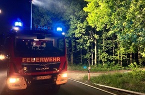 Freiwillige Feuerwehr Lage: FW Lage: Feuer Fläche/Wald - 10.05.25 - 22:12 Uhr