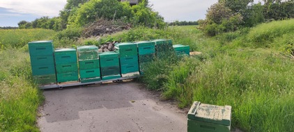 Polizeidirektion Lübeck: POL-HL: Ostholstein - Fehmarn / Bienendiebe auf der Insel Fehmarn unterwegs