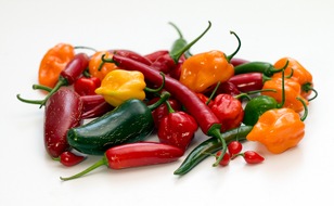 Suncoast Peppers GmbH: Chili-Anbau bringt Spaß und Genuss / Jetzt ist die richtige Zeit, die Saat in die Erde zu bringen / Chili-Experte Harald Zoschke gibt Tipps für den Chili-Anbau zuhause