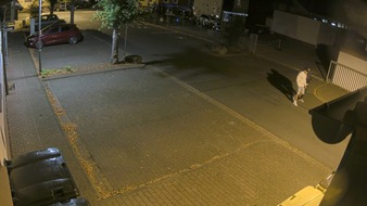 POL-OF: Öffentlichkeitsfahndung nach Einbruch in Einfamilienhaus