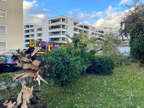 FW Konstanz: Unwetterlage fordert die Feuerwehr