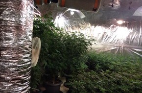 Polizeidirektion Hannover: POL-H: Polizei findet Indoorplantage