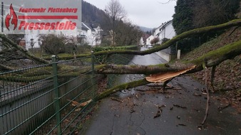 Feuerwehr Plettenberg: FW-PL: OT-Stadtmitte. Baum stürzt aus Uferböschung auf Fahrbahn