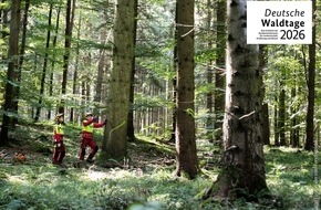 Deutsche Waldtage: Deutsche Waldtage 2026 laden zum Entdecken und Mitmachen ein