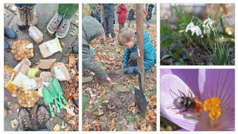 Stiftung für Mensch und Umwelt: Hunderte Zwiebeln für hungrige Nektarschlürferð§ð¿ð·