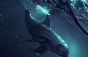 National Geographic Channel: Der bedrohteste Wal unserer Erde: National Geographic präsentiert den preisgekrönten Dokumentarfilm "Sea of Shadows" am 2. Mai