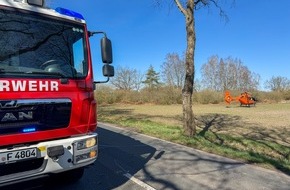Feuerwehr Flotwedel: FW Flotwedel: Baumunfall bei Langlingen / Feuerwehr befreit Fahrer aus PKW