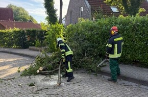 Freiwillige Feuerwehr Aurich: FW-AUR: Baumkrone droht niederzust&uuml;rzen