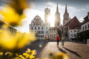 Under the Open Sky: Camping in the Leipzig Region