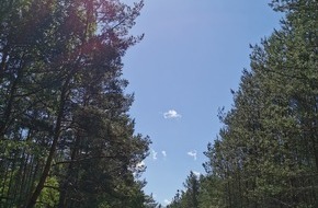 Deutsche Bundesstiftung Umwelt (DBU): Waldbrandgefahr im DBU-Naturerbe Ueckermünder Heide