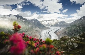 Aletsch Arena AG: Wander- und Veranstaltungs-Tipps 2023 aus der Serie "Die müssens wissen"