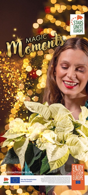 Mehr Erfolg im Weihnachtsgeschäft: Nur noch bis zum 18. September - Weihnachtsstern-Werbemittel sichern