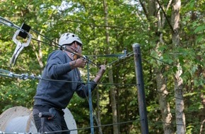 Debrunner Acifer AG: Wiederansiedlung von Wisenten im Solothurner Jura