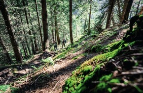 Allgäu GmbH: Natur, Wasser und Wildtiere - Die Glücksformel für mehr Wohlbefinden im Allgäu