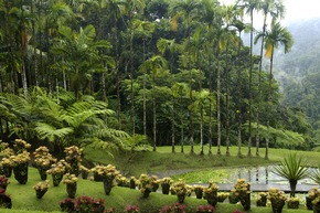 Rendez-vous mit Air France: Jetzt Flüge zu Bestpreisen sichern