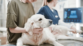 Vetprotect24 Tierkrankenversicherung der Barmenia: Die Wahrheit &uuml;ber Tierkrankenversicherungen: Warum die bekanntesten Versicherer bei Trustpilot durchfallen - und wer 2026 wirklich vorn liegt