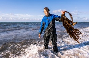 ZDF: "Terra X: Faszination Wasser" mit Uli Kunz über Nord- und Ostsee im ZDF