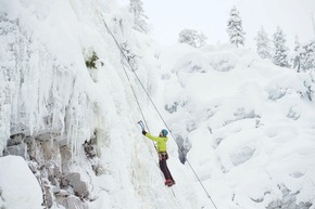 Finnlands magische Wälder – unvergessliche Erlebnisse in atemberaubender Natur