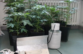 Polizeiinspektion Hameln-Pyrmont/Holzminden: POL-HM: Illegaler Handel mit Marihuana - Polizei stellt Indoorplantage sicher