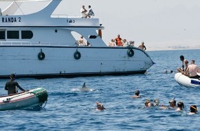 GRD Gesellschaft zur Rettung der Delphine e.V.: Delfinquälerei im Roten Meer! Touristen sollen nicht mit Delfinen schwimmen
