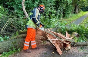 Freiwillige Feuerwehr H&uuml;nxe: FW H&uuml;nxe: Baum blockiert Fahrbahn
