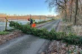 Freiwillige Feuerwehr Hünxe: FW Hünxe: Baum blockierte Straße
