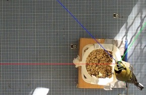 Universität Konstanz: Ein neues Fenster zum geheimen Leben der Tiere , PI Nr. 57/2025