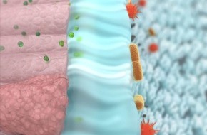 G. Pohl-Boskamp GmbH & Co. KG: Meilenstein "last patient out" erreicht - die klinische Phase der zweiten Studie mit GeloMyrtol® forte an COVID-19-Patienten abgeschlossen