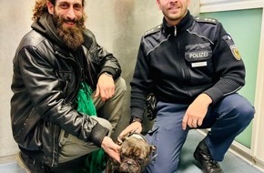 Bundespolizeiinspektion Hamburg: BPOL-HH: Einsatz am Hamburger Hauptbahnhof: Franz&ouml;sische Bulldogge "Candy" sicher zur&uuml;ck bei seinem Besitzer