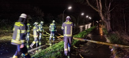 Freiwillige Feuerwehr Werne: FW-WRN: TH_1 - LZ1 - Ast auf Straße