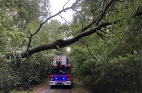 Feuerwehr Sprockhövel: FW-EN: Baum über Straße