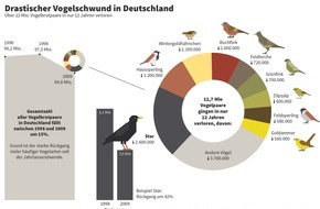 NABU: NABU: 12,7 Millionen Vogelbrutpaare in Deutschland verloren