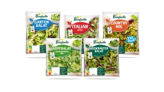 Bonduelle Deutschland GmbH: Bonduelle Fresh-Cut-Salate ab sofort mit neuem Verpackungsdesign