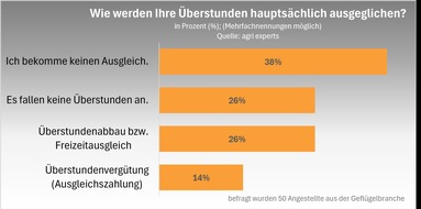 Wie viel verdienen Geflügelhalter: Umfrage von gefluegelnews legt erstmals Zahlen offen