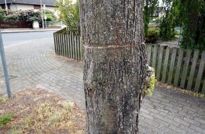 Polizeiinspektion Celle: POL-CE: Baum angesägt und schwer beschädigt