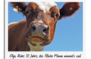 Swisslos: Jedes Tier hat Star Appeal!
Swisslos veranstaltet grosses Tierfoto-Casting