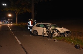 Polizeiinspektion Hildesheim: POL-HI: Schwerer Wildunfall - Eine Verletzte und ca. 25.000 Euro Schaden