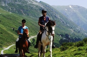 Tourismusbüro Kühtai: Erfolgreiches Höhentraining für Pferde und geführte Trekkingtouren - 
Pferde stehen im Kühtai hoch im Kurs - BILD