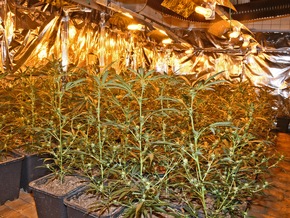POL-ME: Nachtragsmeldung: Cannabis-Großplantage entdeckt - Mettmann - 2105007