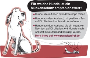 Bayer Vital GmbH: Gefährliche Stiche: Für welche Hunde ist ein Mückenschutz empfehlenswert?