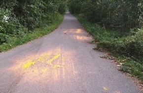 Polizeiinspektion Emsland/Grafschaft Bentheim: POL-EL: Lingen - Geh- und Radweg am Dieksee mit Hakenkreuzen beschmiert