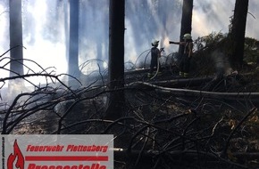 Feuerwehr Plettenberg: FW-PL: Segelflugzeug meldet beginnenden Waldbrand. Rund 400 Quadratmeter Waldfläche gerieten in Brand