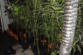 Polizei Hagen: POL-HA: Hagener Kripo lässt Cannabis-Plantage in Wohnung auffliegen