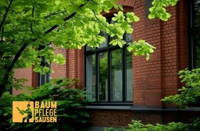 goodRanking Online Marketing Agentur: Baumpflege Sausen: Gezielte Pflegema&szlig;nahmen f&uuml;r eine kontrollierte Baumentwicklung