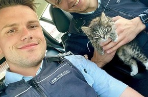 Polizeipräsidium Offenburg: POL-OG: Achern, A5 - Schutzengel für Katzenbaby