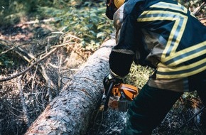 Freiwillige Feuerwehr H&uuml;nxe: FW H&uuml;nxe: Erneuter Sturmschaden