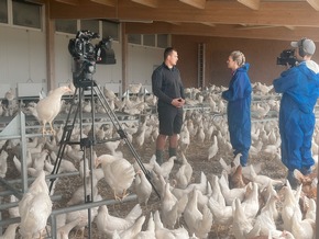 Sommergeschichten: Nicole Bircher auf Besuch bei Seidenraupen, Pilzsammlern und Strahlern