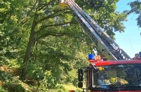 Freiwillige Feuerwehr der Gemeinde Sonsbeck: FW Sonsbeck: Baum auf Fahrbahn in Labbeck